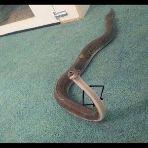 Meet your Posher, Tyler